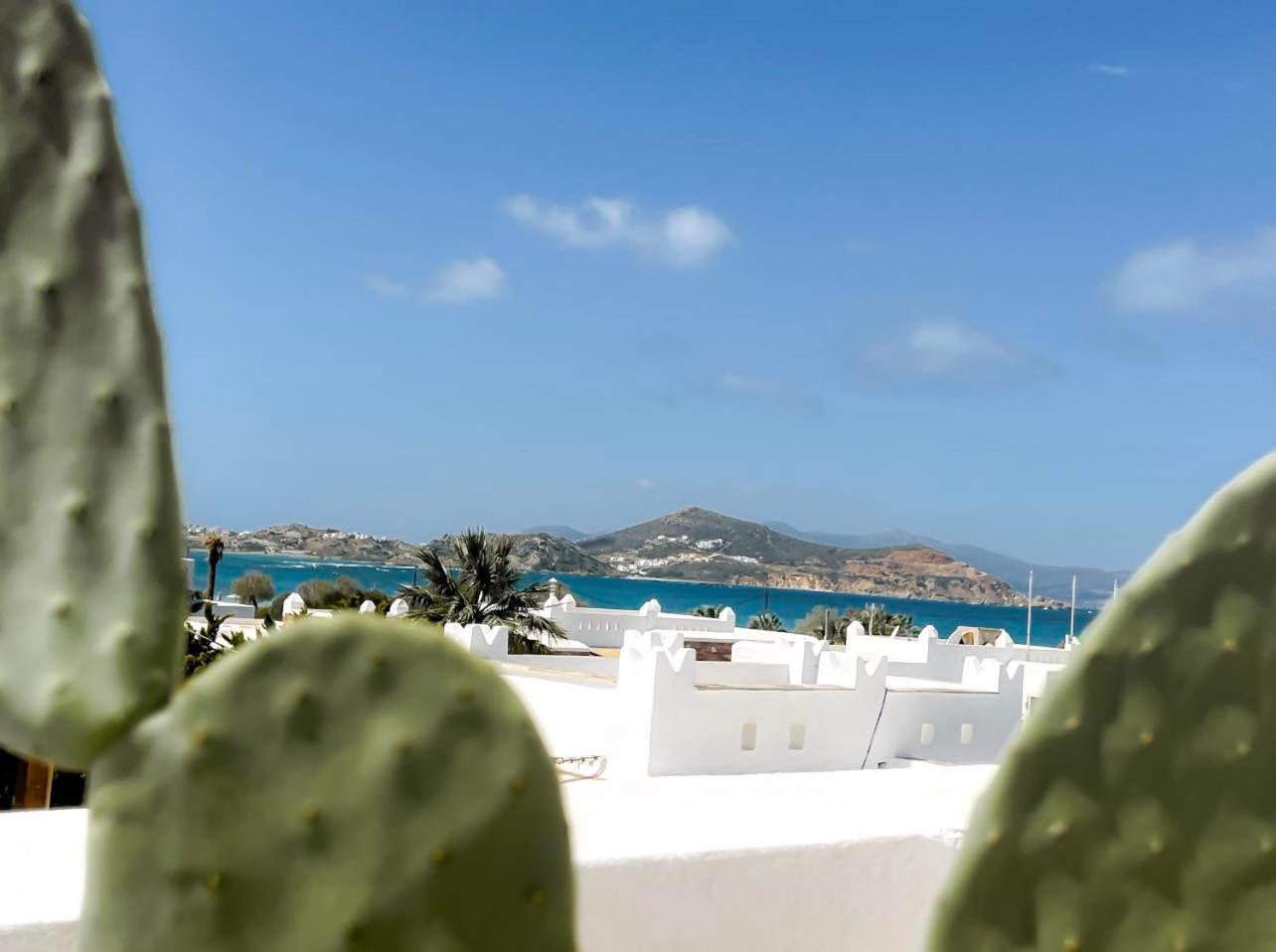 Sea View Casa Διαμέρισμα Naxos City Εξωτερικό φωτογραφία